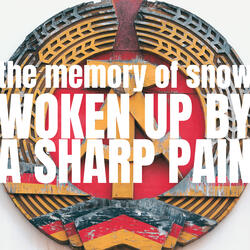Woken up by a Sharp Pain