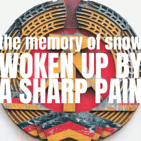 Woken up by a Sharp Pain
