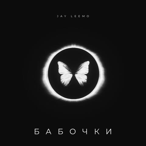 Бабочки