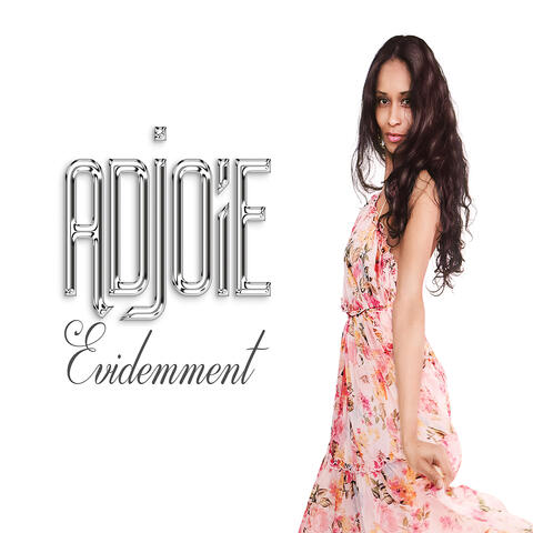EVIDEMMENT