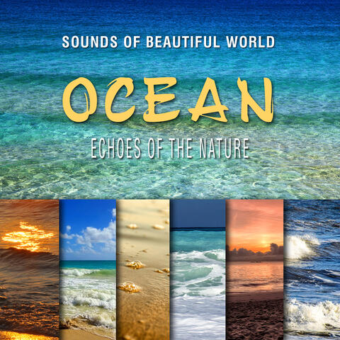 Echoes of the Nature: Ocean