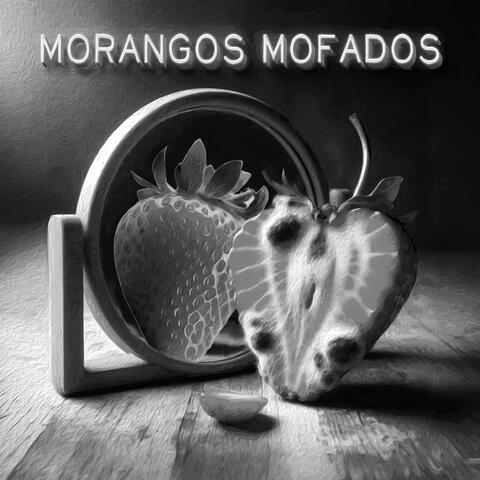 Morangos Mofados