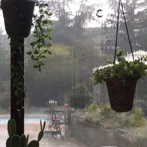 Raining Down