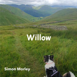 Willow