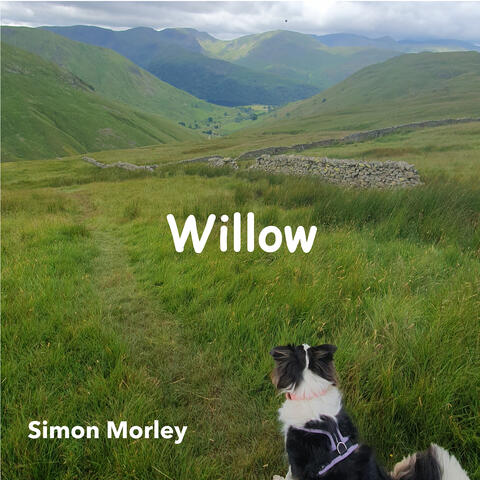Willow