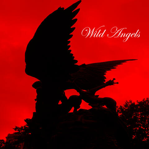 Wild Angels