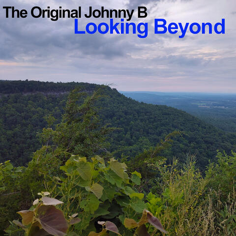 Looking Beyond