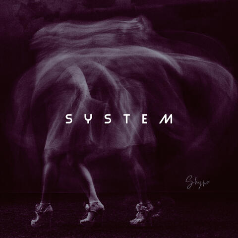 System