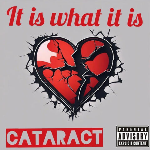 It Is What It Is