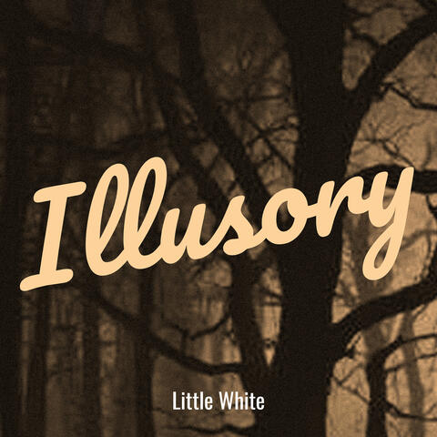 Illusory
