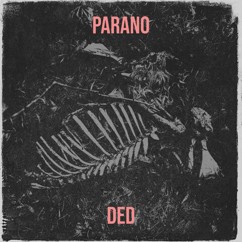 Parano