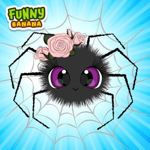 Spin Spin Every Day (Spider)