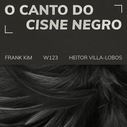 O Canto Do Cisne Negro (W123)