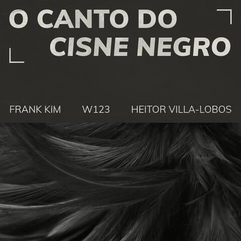 O Canto Do Cisne Negro (W123)