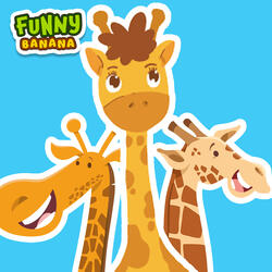 Baby Giraffe