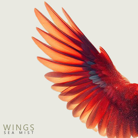 Wings