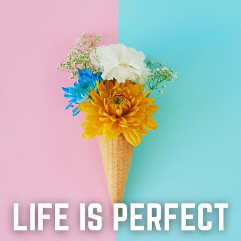 Life Is Perfect