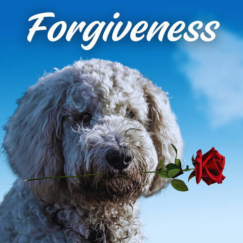 Forgiveness
