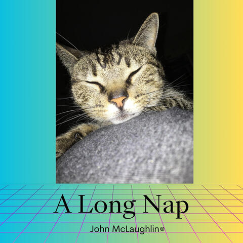 A Long Nap