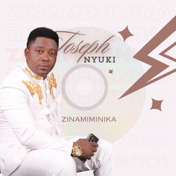 Zinamiminika