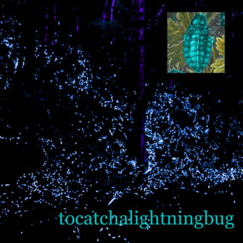 To Catch a Lightning Bug