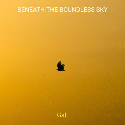 Beneath the Boundless Sky