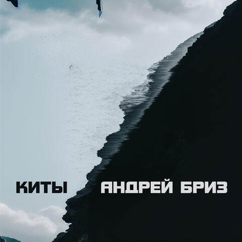 Киты