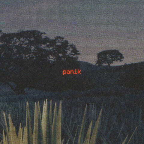 Panik