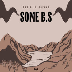 Some B.S