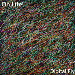 Oh Life!