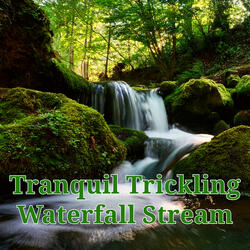 Tranquil Trickling Waterfall Stream
