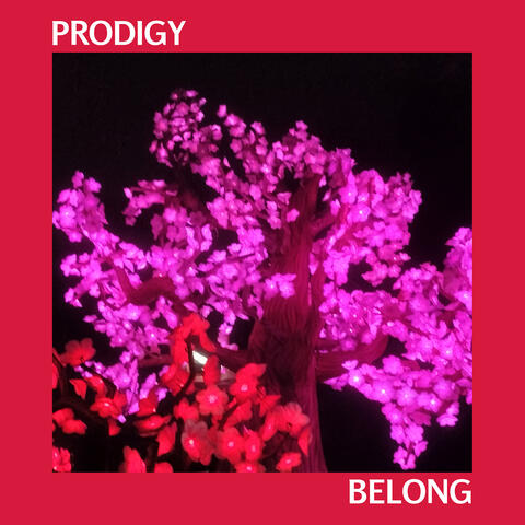 Belong