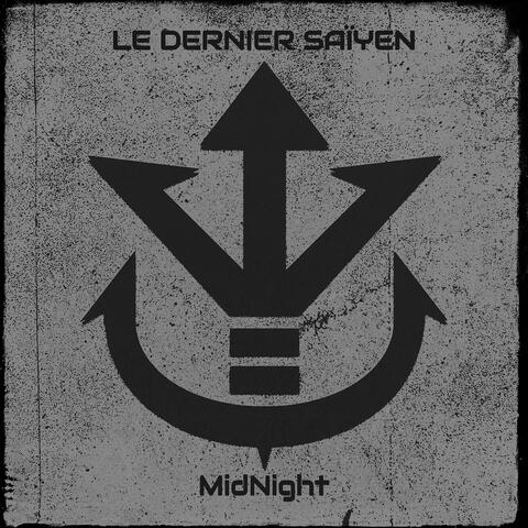 Le Dernier Saïyen