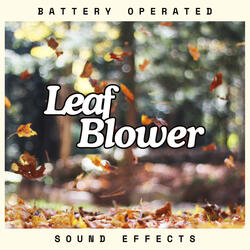 Battery Operated Leaf Blower Sound Effects