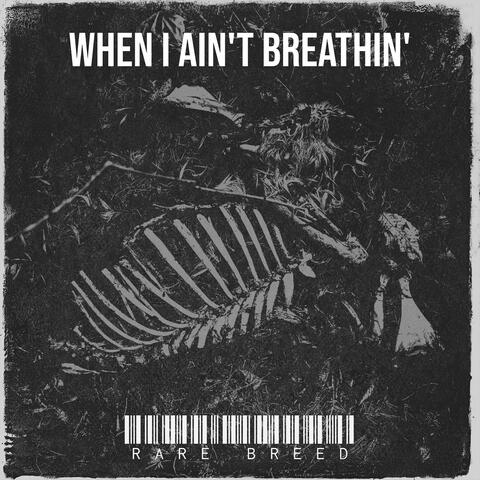 When I Ain't Breathin'