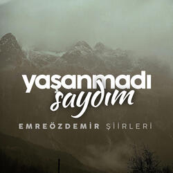 Yaşanmadı Saydım