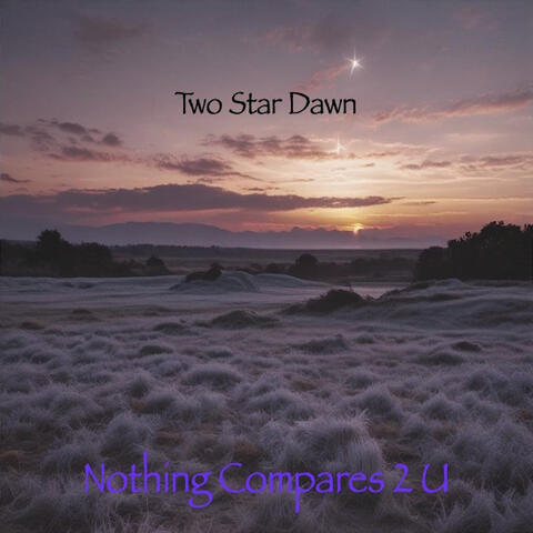 Nothing Compares 2 U