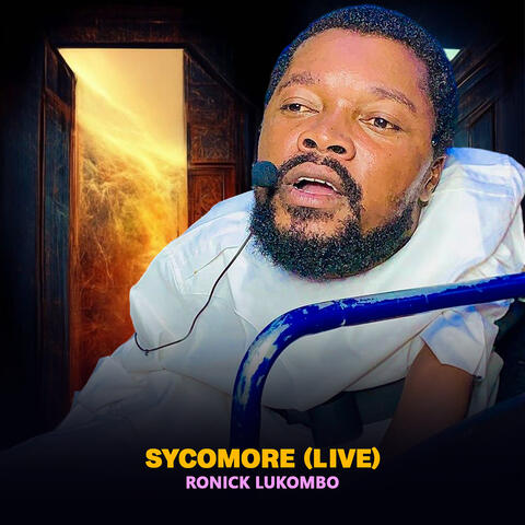 Sycomore (Live)