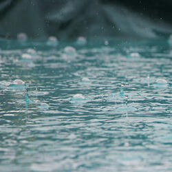 Rainy Sunday