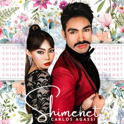 Shimenet