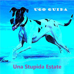 UNA STUPIDA ESTATE