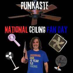 National Ceiling Fan Day