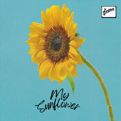 My Sunflower
