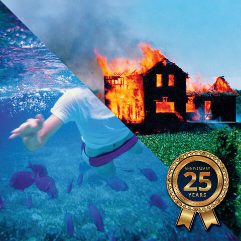 Fibsville 25th Anniversary Remix Edition