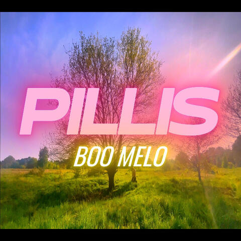Pillis