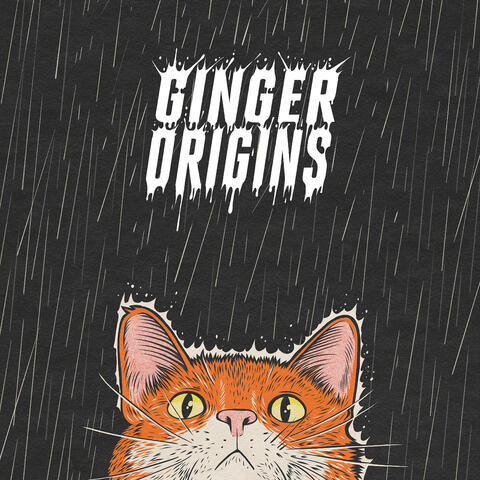 Ginger Origins