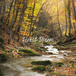 Forest Dream