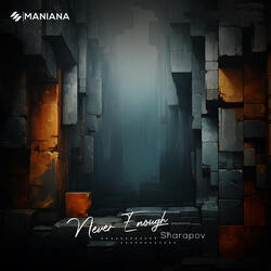 Never Enough (Radio Mix)