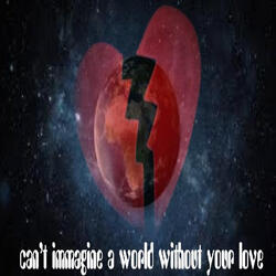 Can't Immagine a World Without Your Love