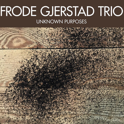 Frode Gjerstad Trio